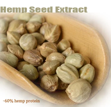 Best Selling Hemp Seed Extract Hemp Protein 60% Wholesale Hemp Seed Powder